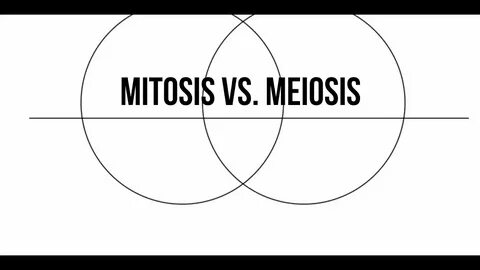 Mitosis vs Meiosis Venn Diagram - YouTube