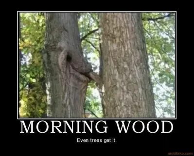 Morning wood Tree, Best funny pictures, Morning wood