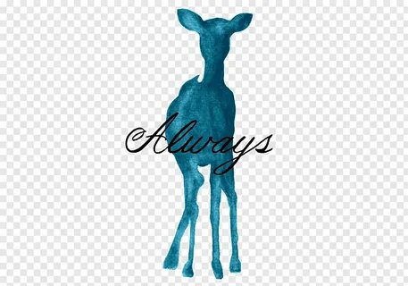 Teal deer with text overlay, Harry Potter and the Deathly Ha