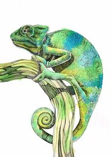 Chameleon Fine Art Print Etsy Chameleon art, Animal art, Art