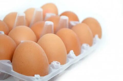 Japan scientists grow drugs in chicken eggs - Nexus Newsfeed