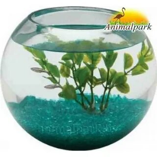 Aquael Glass Bowl / 300274 отзывы покупателей и специалистов