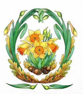 Daffodils March Flower of the Month with Acorns by Myrea Pet