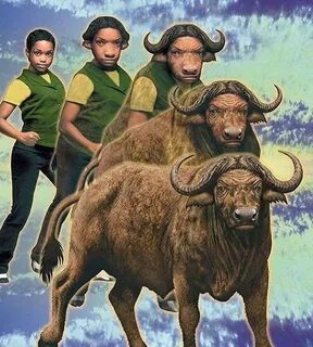 Do You Remember 90s Animorphs?