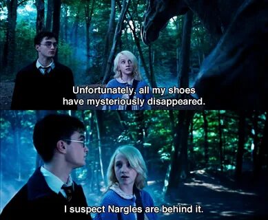 Nargles 😁 shared by Nancy on We Heart It
