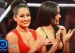 Эти прекрасные засветы #3 Бри Белла WWE AEW Babes ВКонтакте
