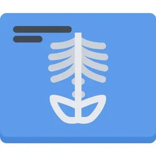 X Ray Vector SVG Icon - PNG Repo Free PNG Icons