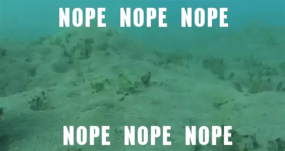 nope - GIF on Imgur