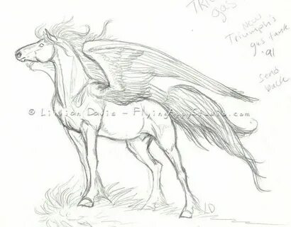 Pegasus Horse drawings, Horse art, Animal drawings