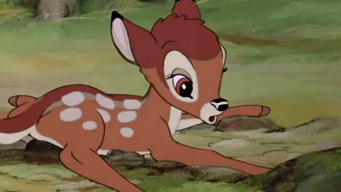 Grab the Inspirational Funny Disney Animated Jungle Animal P