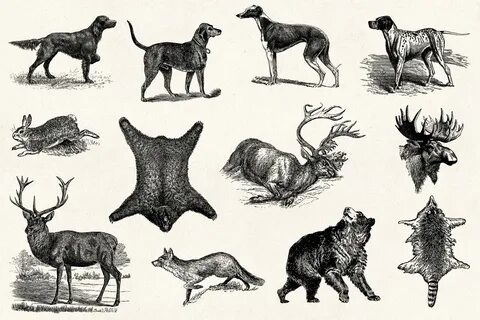 Hunting - Vintage Engraving Illustrations on Behance