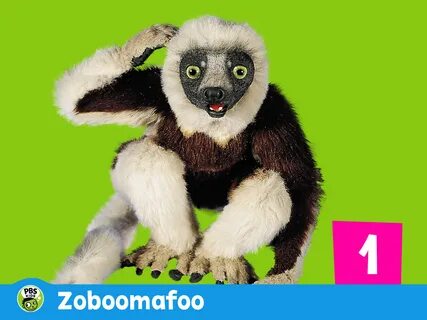 Zoboomafoo Part 2 - Drone Fest