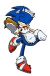 maid sonic or as I call him sassy sonic