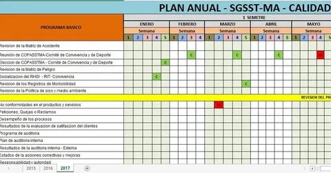 Plan Anual SGSST-MA-CALIDAD Gestión de proyectos, Salud y se