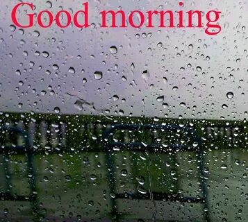 177+ good morning wishes for a rainy day Images Photo Pics H
