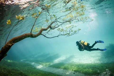 underwater, Branch, Sea, Divers, Gry Wallpapers HD / Desktop