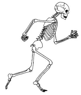 Skeleton clipart tap dancing, Skeleton tap dancing Transpare