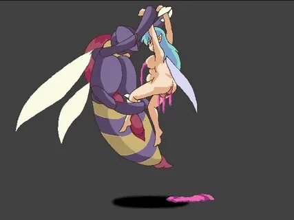 Eluku (Fairy Fighting) gifs updated - 51/82 - エ ロ ２ 次 画 像