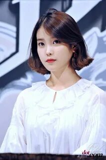 아이유로 보는 단발머리 스타일링 인스티즈 Iu short hair, Short hair styles, Kpo