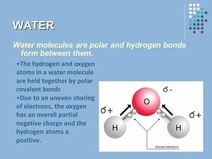 Molecular Biology 2.2 Water. Discuss: Why is water called "t