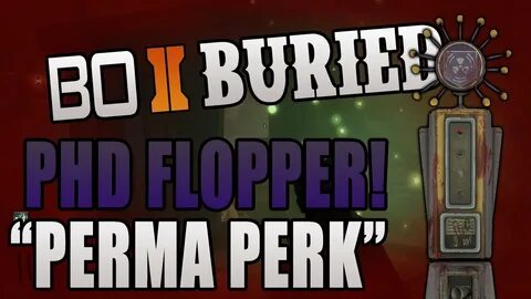 PHD FLOPPER PERMA PERK TUTORIAL! - Black Ops 2 Zombies (Nede
