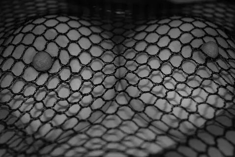 B W Fishnets Photograph by Rob Hans Fine Art America