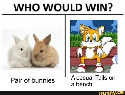 WHO WOULD WIN? Pair of bunnies A casual Tails on a bench