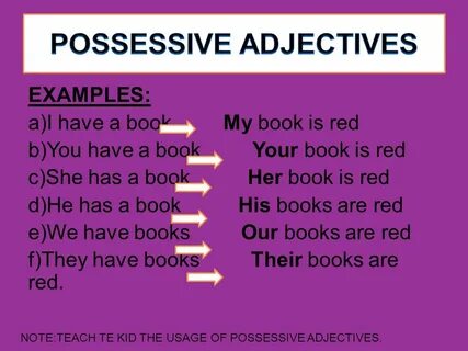 Possessive Adjectives - ppt video online download