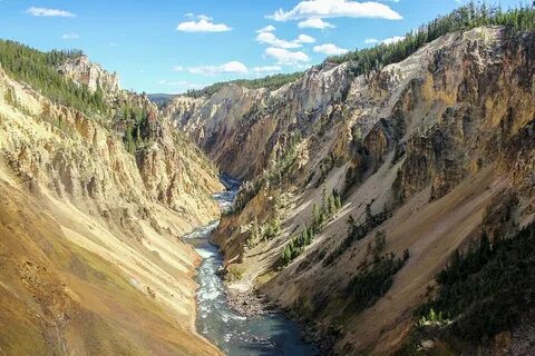 The Grand Canyon Of Yellowstone Photograph By Robert Carter 