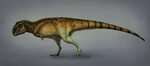 File:Mapusaurus reconstruction.jpg - Wikimedia Commons