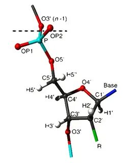 Ho2 Lewis Structure Resonance / Abby McDonough AP Chem Blog: