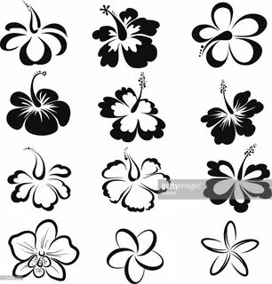 Related image Black and white drawing, Violet flower tattoos