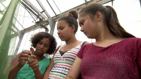 SciGirls" TV series encourages girls to succeed in STEM - Sc