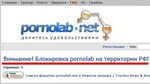 В Pornolab.net прокомментировали блокировку Роскомнадзором В
