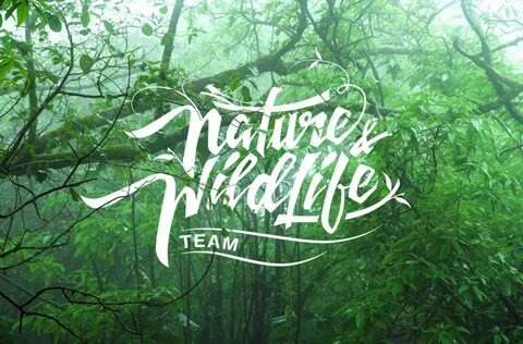 Nature & Wildlife Team - Logo Design on Behance