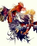 John Clang -NEWS Rooster art, Chicken art, Cartoon rooster