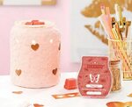 Love Abounds and Poppy Fields, February 2019 Scentsy Scent a