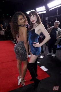 2020 AVN Awards Nomination Party (Gallery 1) AVN