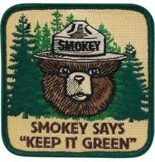 Pin by Jeremy Blackmon on Firefighting Smokey the bears, Iro