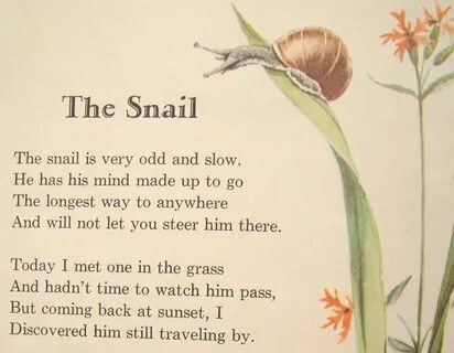 Snail Poems