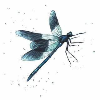 Damselfly Mini Print Dragonfly painting, Dragonfly illustrat