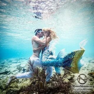 Couple mermaid kissing Mermaid romance, Mermaid life, Underw