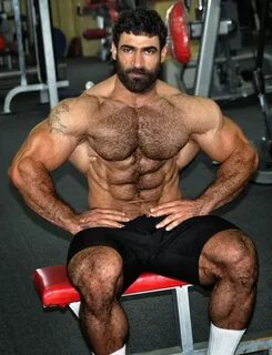 Ali Mahmoud, Iraqui Bodybuilder Muscle men, Hairy hunks, Mus