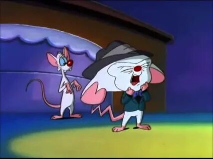 Pinky and the Brain