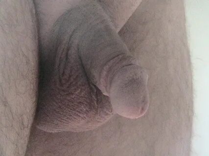 Shaved Flaccid Circumcised Penis Pictures - 20 Pics xHamster