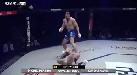 The Backflipping Lunatic Of An MMA Fighter From A Few Months