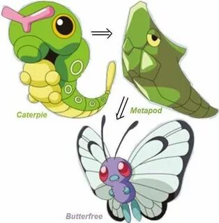 Gallery of caterpie evolution chart clipart images gallery f