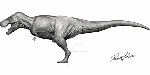 Image result for t rex anatomy Animales de la prehistoria, D