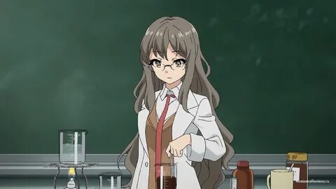 Обзор аниме Seishun Buta Yarou wa Bunny Girl Senpai no Yume 