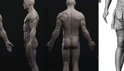 Sculpting a Human Figure with Zbrush